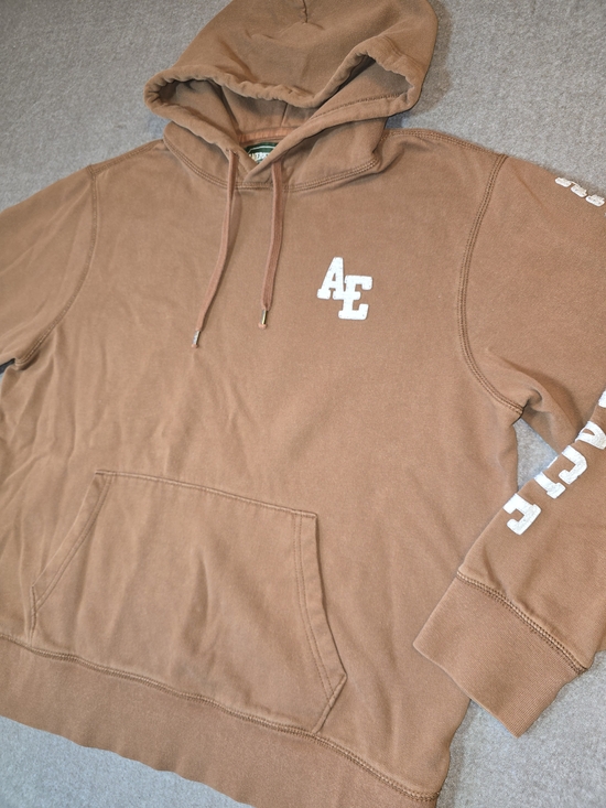 American Eagle Outfitters Other - American Eagle Men's Brown Pullover Hoodie Y2K Large